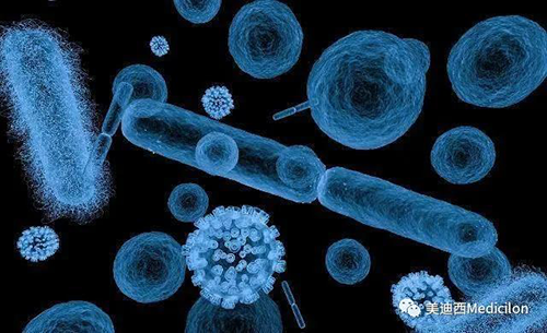 20分钟，，大大都细菌都可以繁衍一代 新宝GG生物医药