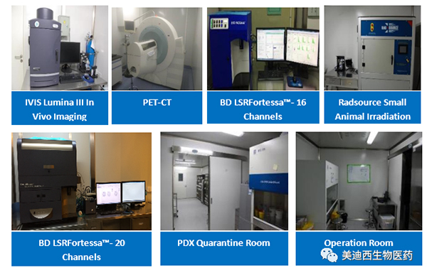 新宝GG药理部拥有IVIS Lumina III, PET-CT, BD LSRFortessa-16，，Flow Cytometry等仪器