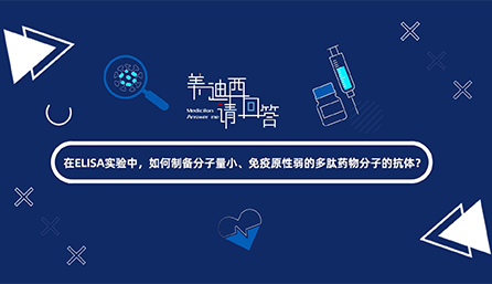 在ELISA实验，，，，，，怎样制备分子量小、免疫原性弱的多肽药物分子的抗体？？？？？