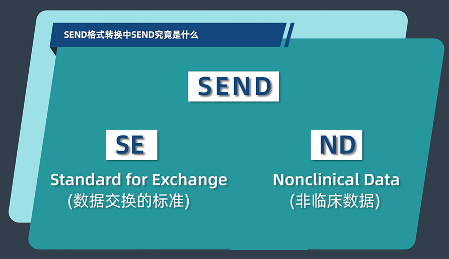 SEND名堂转换中的SEND事实是什么？？