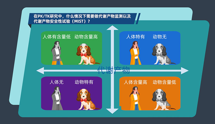 在PK-TK研究中，，什么情形下需要做代谢产品监测以及代谢产品清静性试验（MIST）