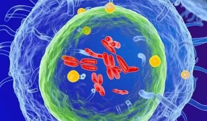  新宝GG助力 | 信诺维抗肿瘤1类新药XNW14010获批临床.png