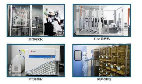 新宝GG抗体开发平台.jpg