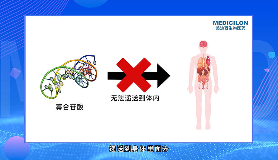 核酸药物的递送系统有哪些？？？？？