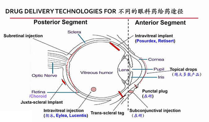 【内附回放+下半场预约】新宝GG眼科药物专题钻研会上半场精彩回首