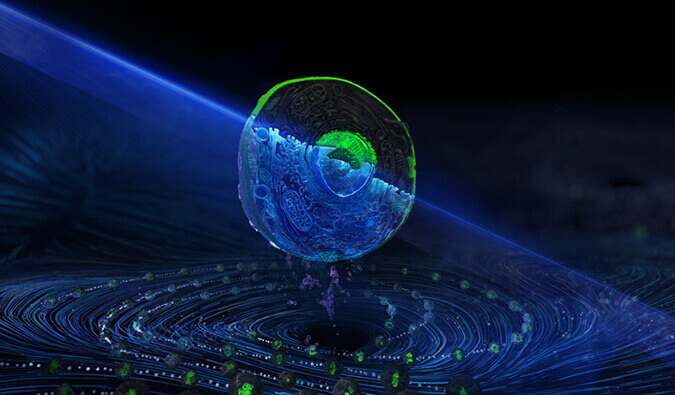 新宝GG流式细胞分选服务平台