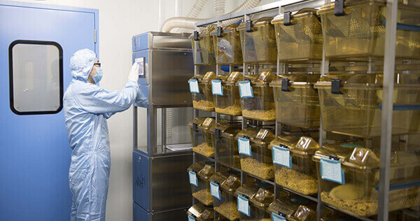 SPF级实验动物房，，，，专业合规的实验治理系统.jpg