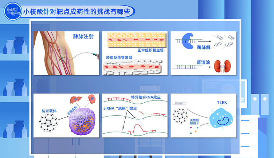 小核酸针对靶点成药性的挑战有哪些？？？？