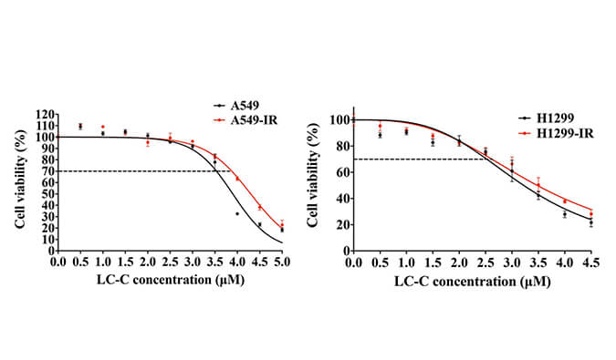 放射疗法用作肺癌的主要治疗要领，，，，，本研究中建设抗电离辐射肺癌细胞系的放射治疗通过新宝GG举行