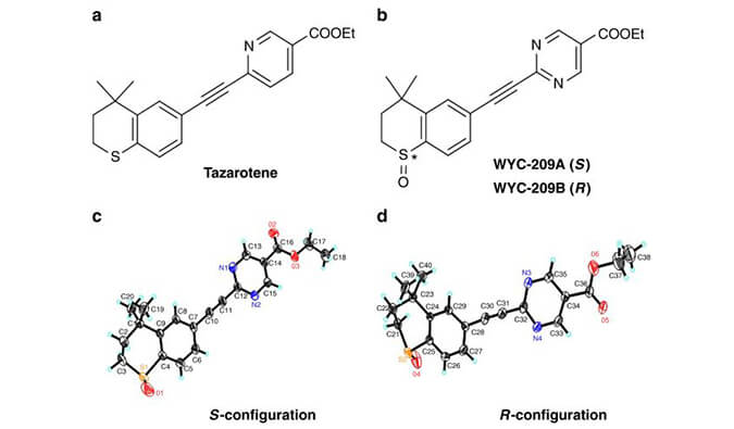 WYC-209可抑制恶性小鼠玄色素瘤肿瘤再生细胞增殖，，，，，，本研究中SPR通过新宝GG使用Biacore 8K举行