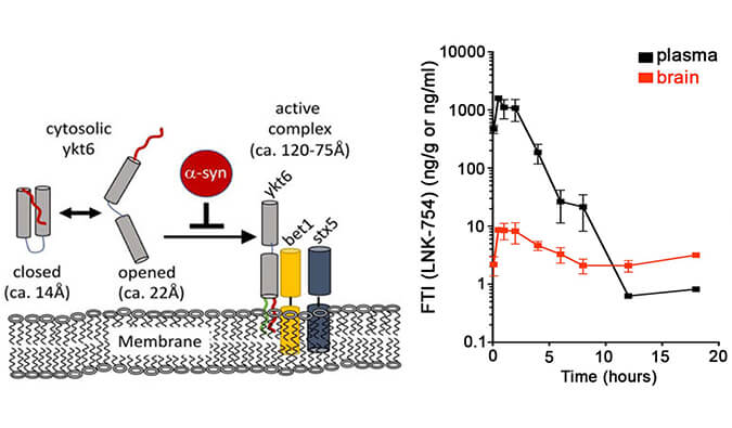 法尼基转移酶抑制剂LNK-754单次口服后即可快速穿过血脑屏障，，，，，，本研究中PK剖析通过新宝GG举行