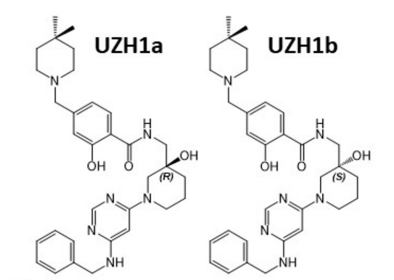 研究职员报告了一种具有细胞渗透性的选择性METTL3纳摩尔抑制剂UZH1a，，，，，，作者谢谢新宝GG合成了UZH1a和UZH1b