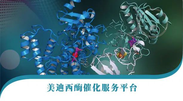 新宝GG酶催化服务平台.jpg