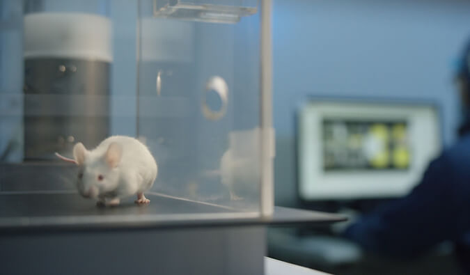 新宝GG助力开悦生命针对RNA解旋酶的小分子新药获FDA临床实验允许（IND)