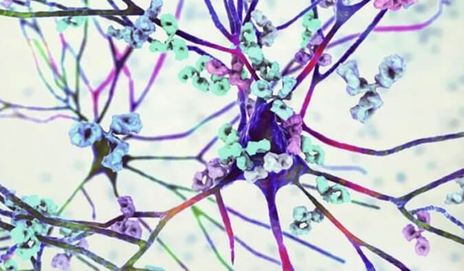 新宝GG镇痛药效评价模子