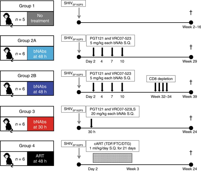抗逆转录病毒疗法(ART)预防围产期HIV熏染，，，本研究中多替拉韦钠盐和游离态均由新宝GG提供