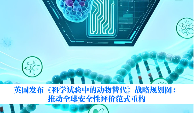 英国宣布《科学试验中的动物替换》战略妄想图：推动全球清静性评价范式重构