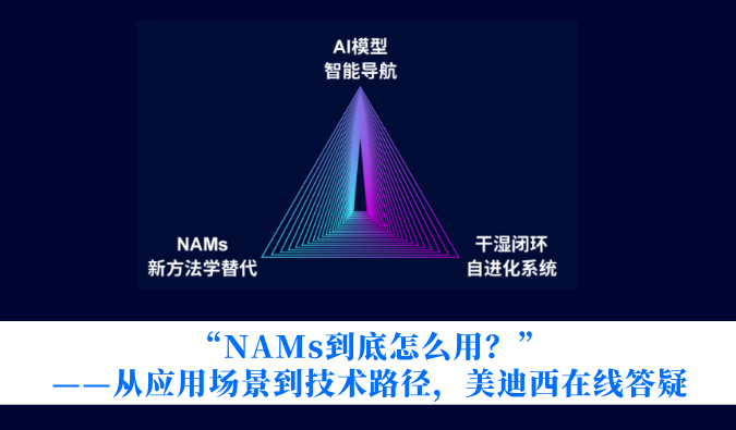 “NAMs究竟怎么用？？？？”——从应用场景到手艺路径，，，新宝GG在线答疑