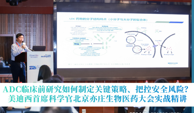 ADC临床前研究怎样制订要害战略、把控清静风险？？？？？｜新宝GG首席科学官北京亦庄生物医药大会实战精讲